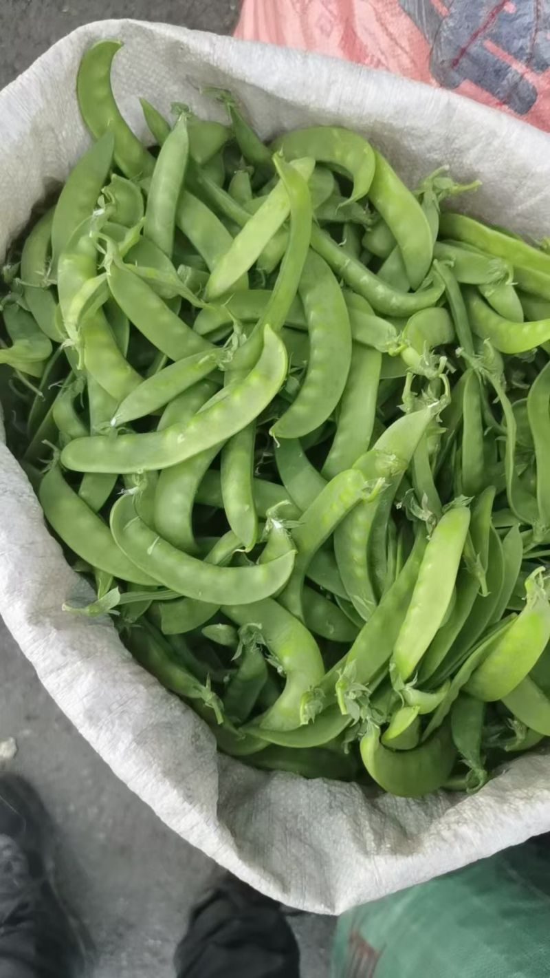 荷兰豆