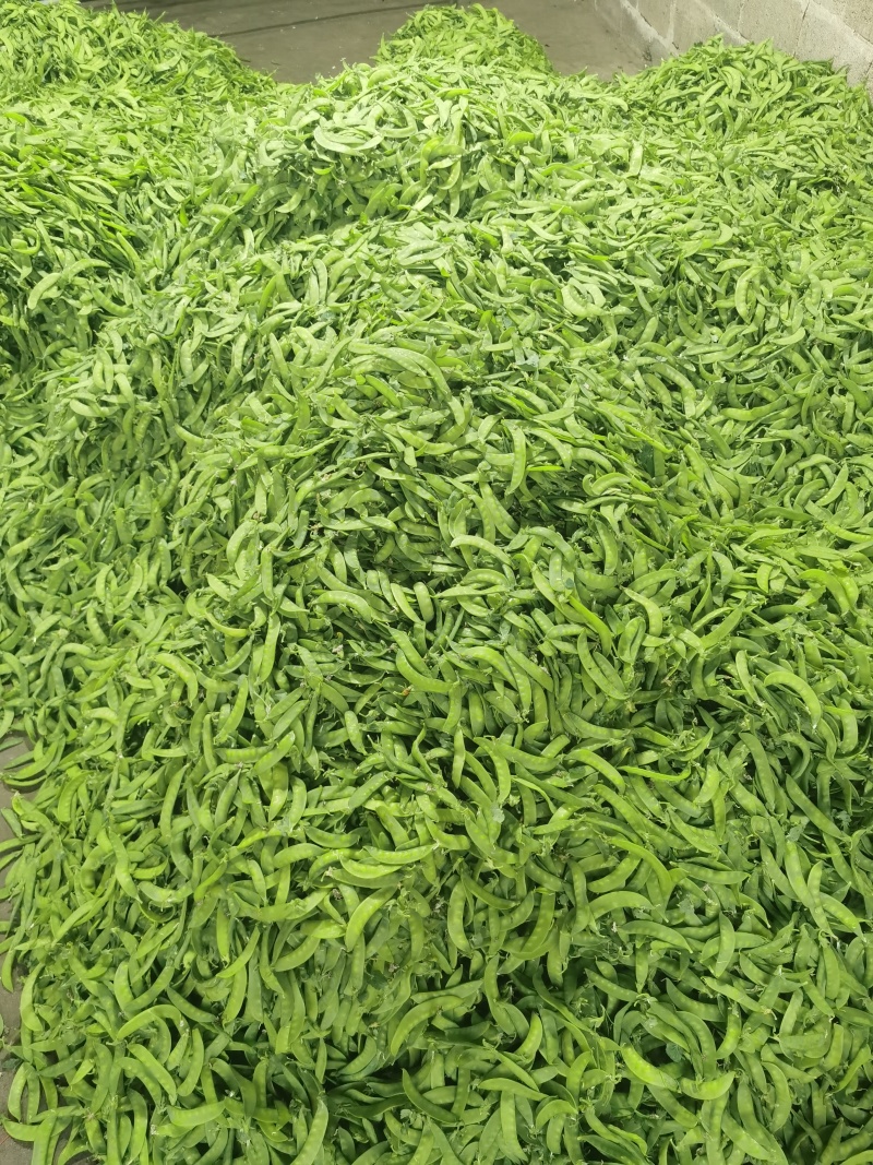 荷兰豆