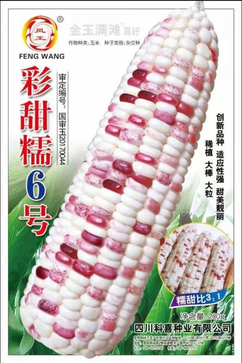 玉米种子彩甜糯6号国审大棒大粒甜美可口适应性广产量高