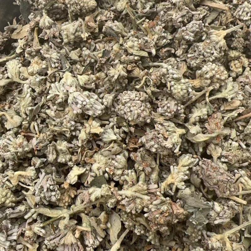 密蒙花