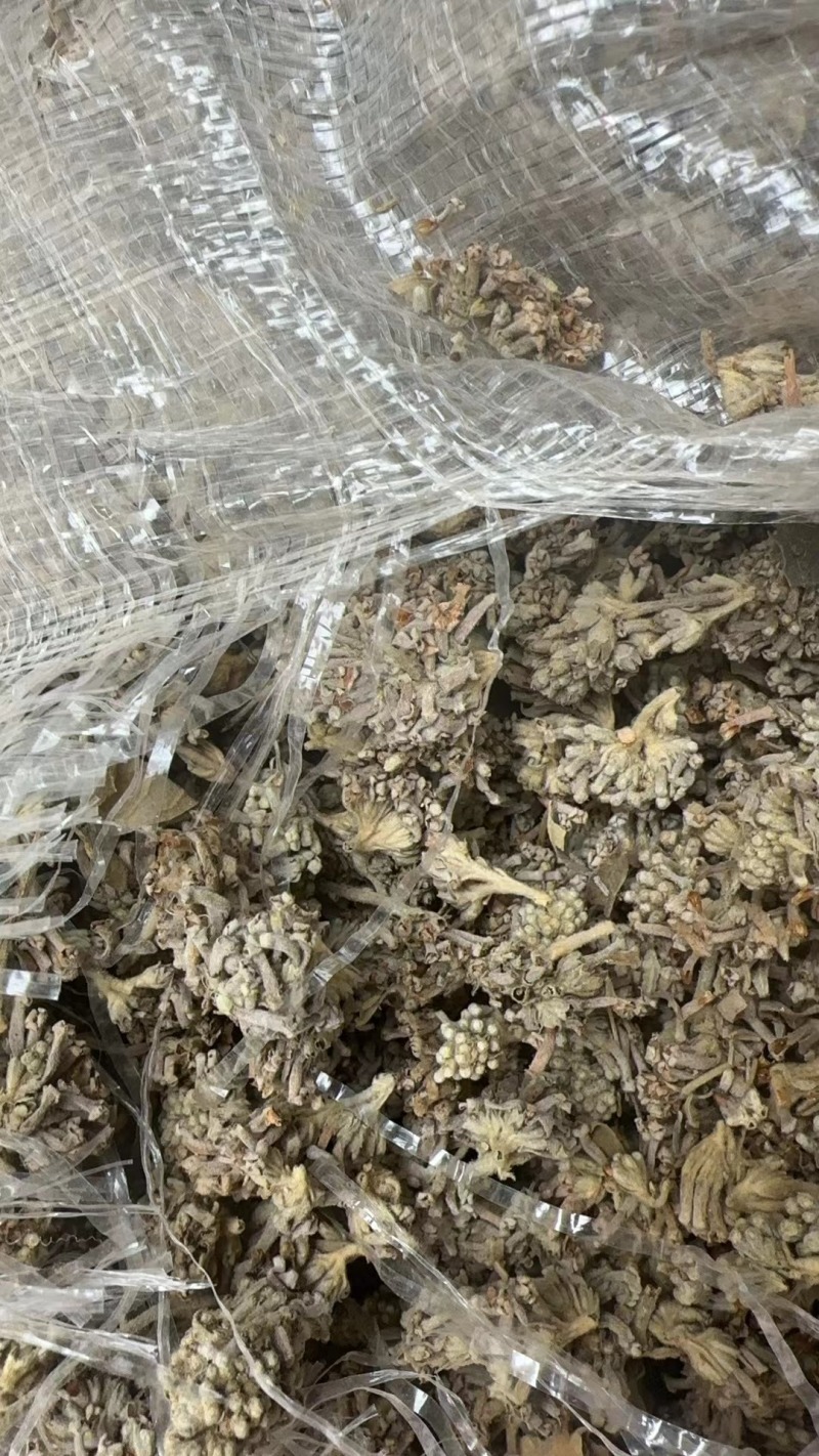 密蒙花