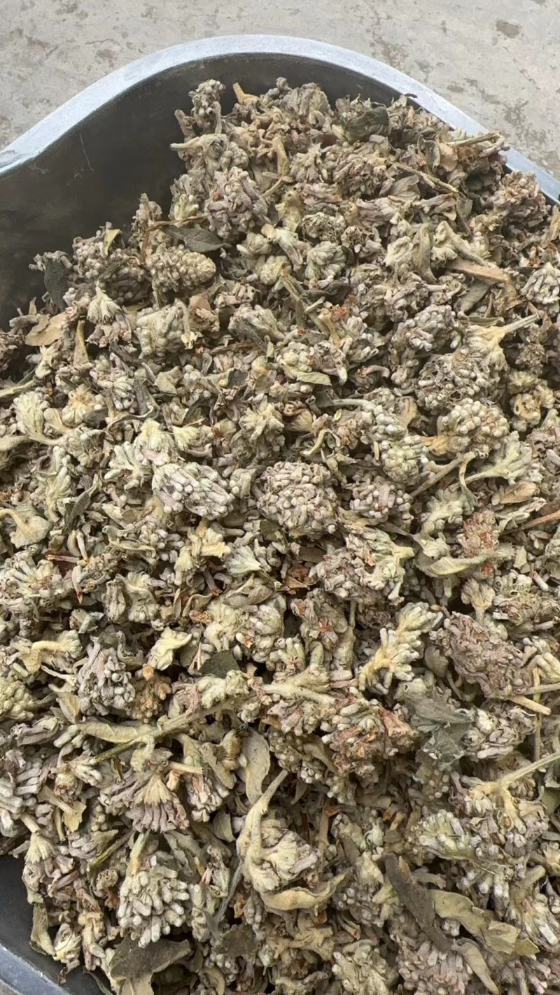 密蒙花