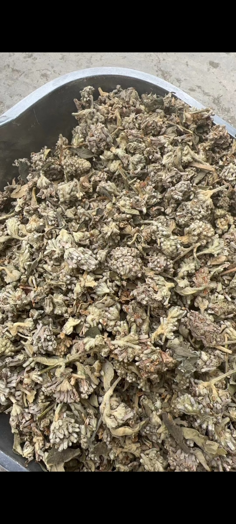 密蒙花