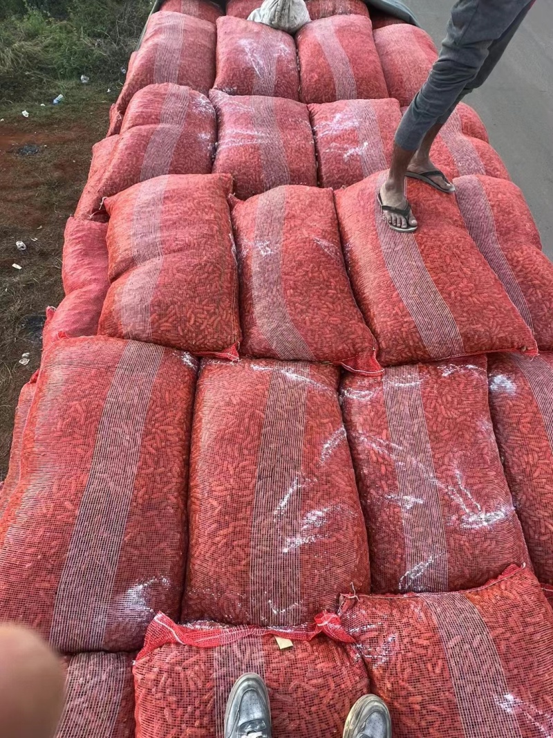 各位老总七彩花生大量现货价格实惠，货源充足，可以长期合作