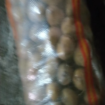 土豆，马铃薯