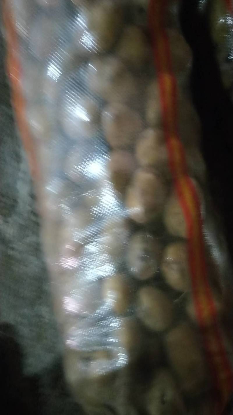 土豆，马铃薯