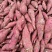 江苏宿迁精选红薯苏薯968白薯产地直发专业代办