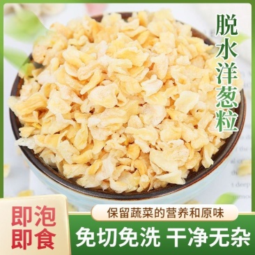 脱水洋葱粉粒小规格厂家直供大量有货烘焙原调料