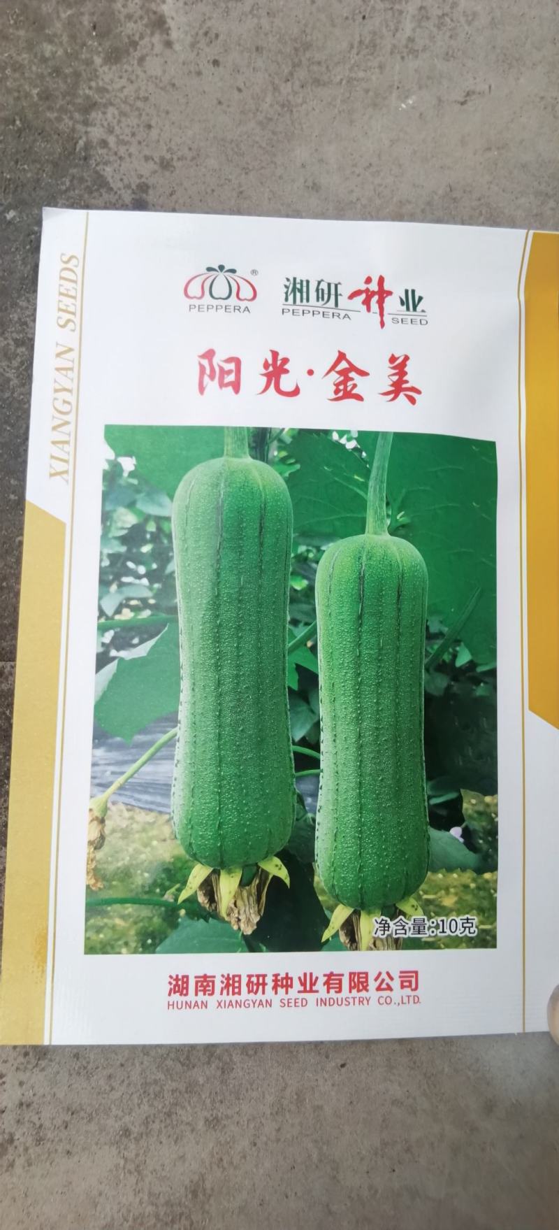 丝瓜种子阳光金美新一代翠绿色短棒肉丝瓜种子顺直高产