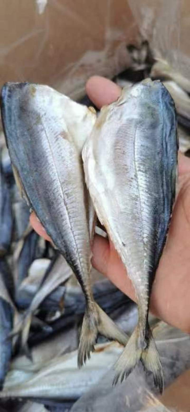 各种鱼干批发，厂家一手货源