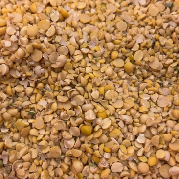 碎黄豆上地养殖肥料豆榨油压饼豆膨化豆