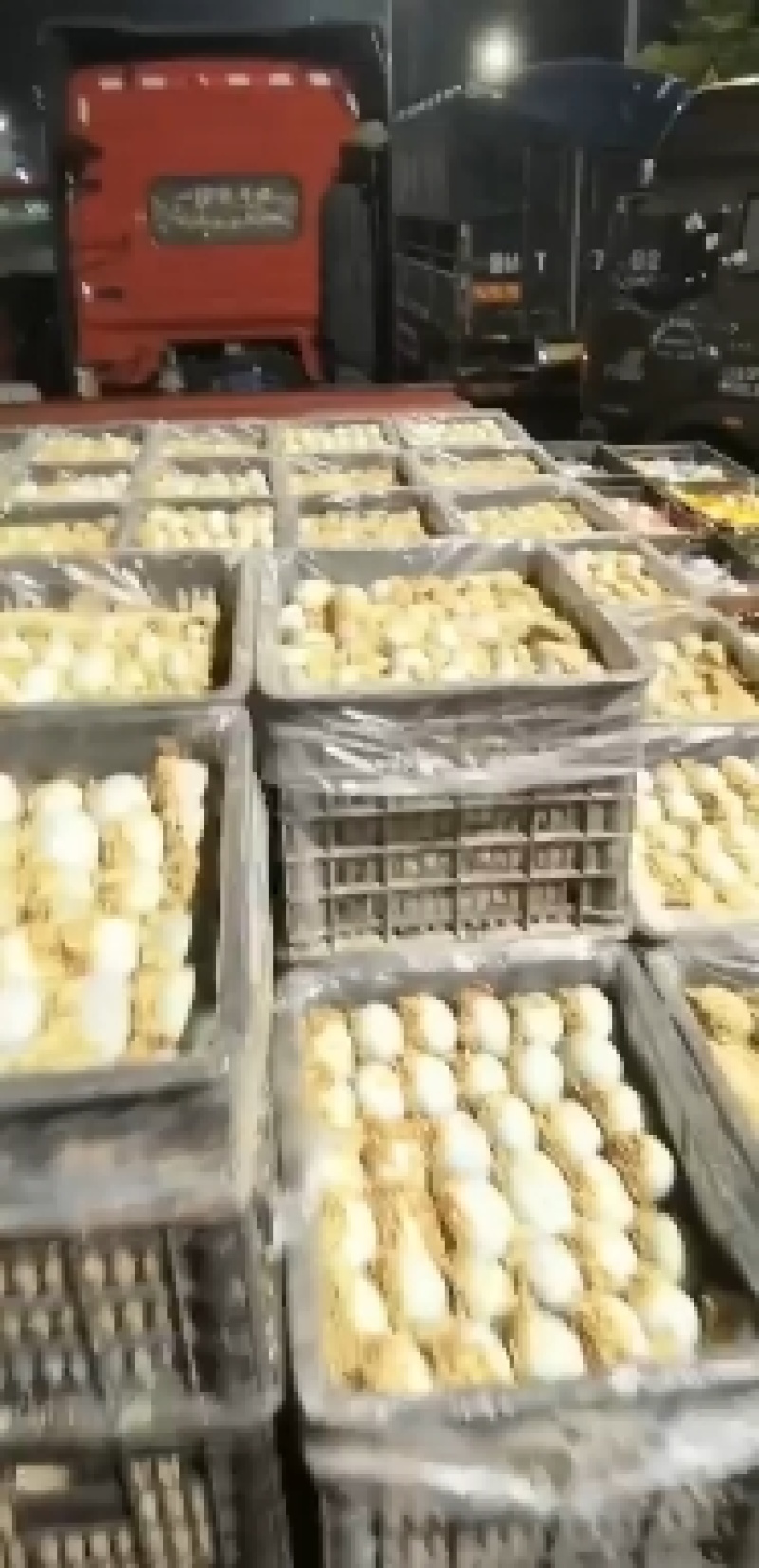 【谷壳包泥松花蛋】赶集早市畅销单品，一手货源，质量可靠
