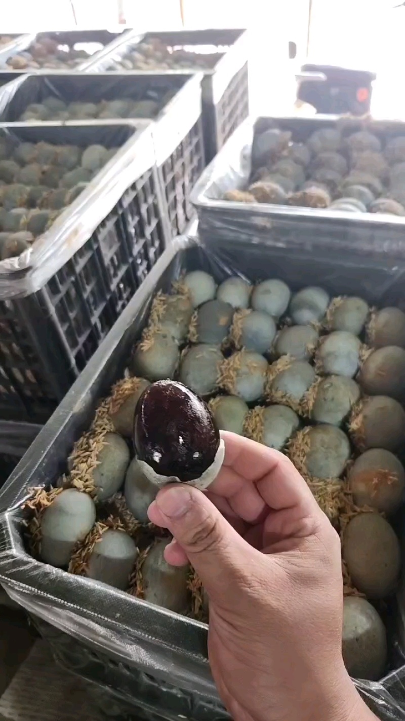 【谷壳包泥松花蛋】赶集早市畅销单品，一手货源，质量可靠