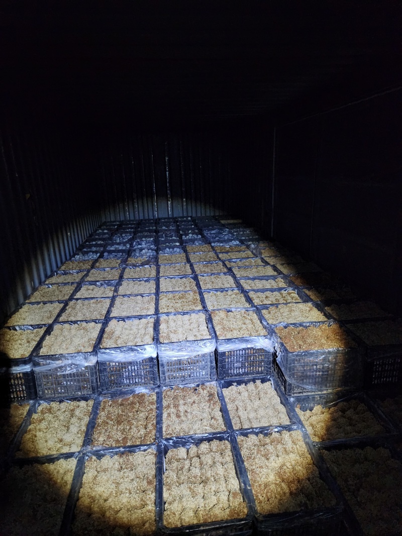 【谷壳包泥松花蛋】赶集早市畅销单品，一手货源，质量可靠