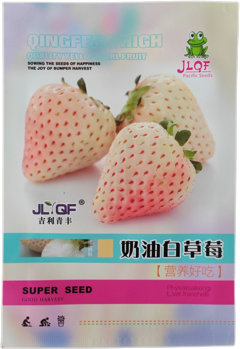 四季奶油草莓种子鲜美红嫩果肉多汁红草莓种子白色奶油草莓籽