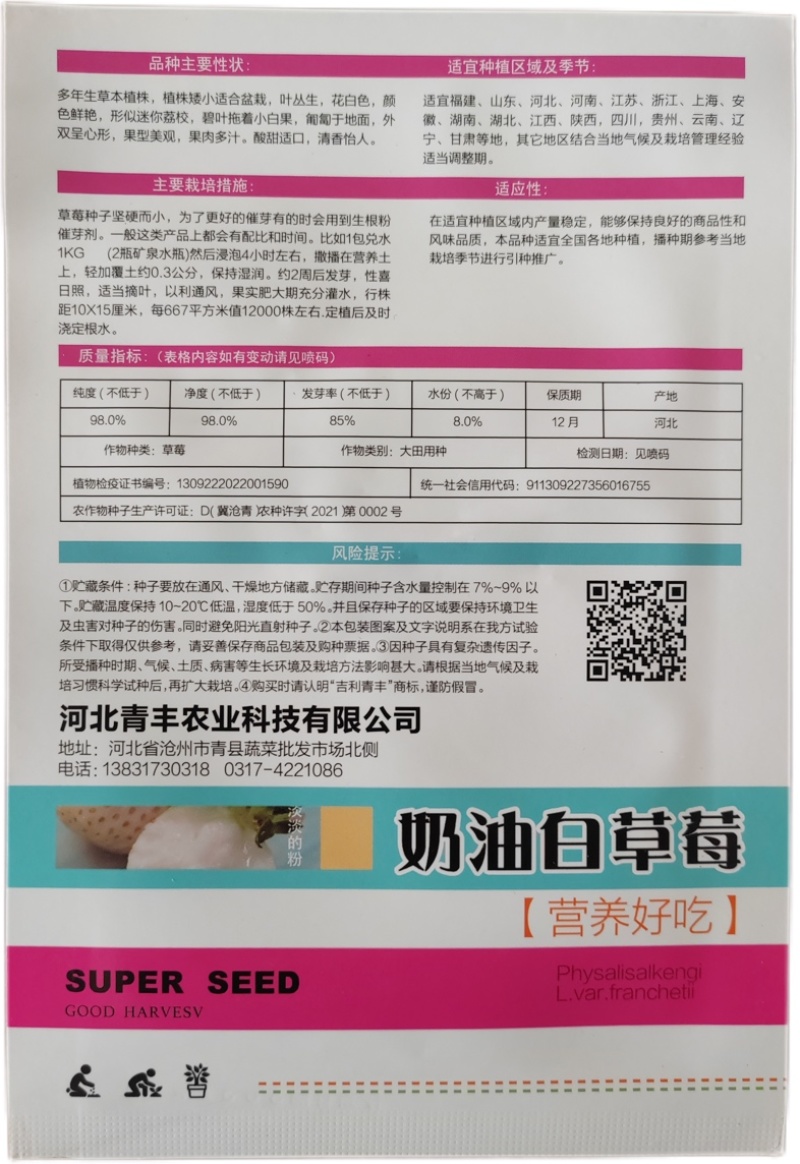 四季奶油草莓种子鲜美红嫩果肉多汁红草莓种子白色奶油草莓籽