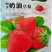 四季奶油草莓种子鲜美红嫩果肉多汁红草莓种子白色奶油草莓籽