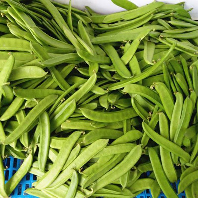 【泡菜】广西酸嘢，酸刀豆，零售，批发。