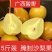 【泡菜】广西酸嘢，酸沙梨果，批发，零售。