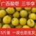 【泡菜】广西酸嘢，酸三华李批发，零售。
