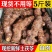 土茯苓新鲜白肉土茯苓批发新鲜野生天然散装无硫现挖发