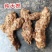 土茯苓新鲜白肉土茯苓批发新鲜野生天然散装无硫现挖发