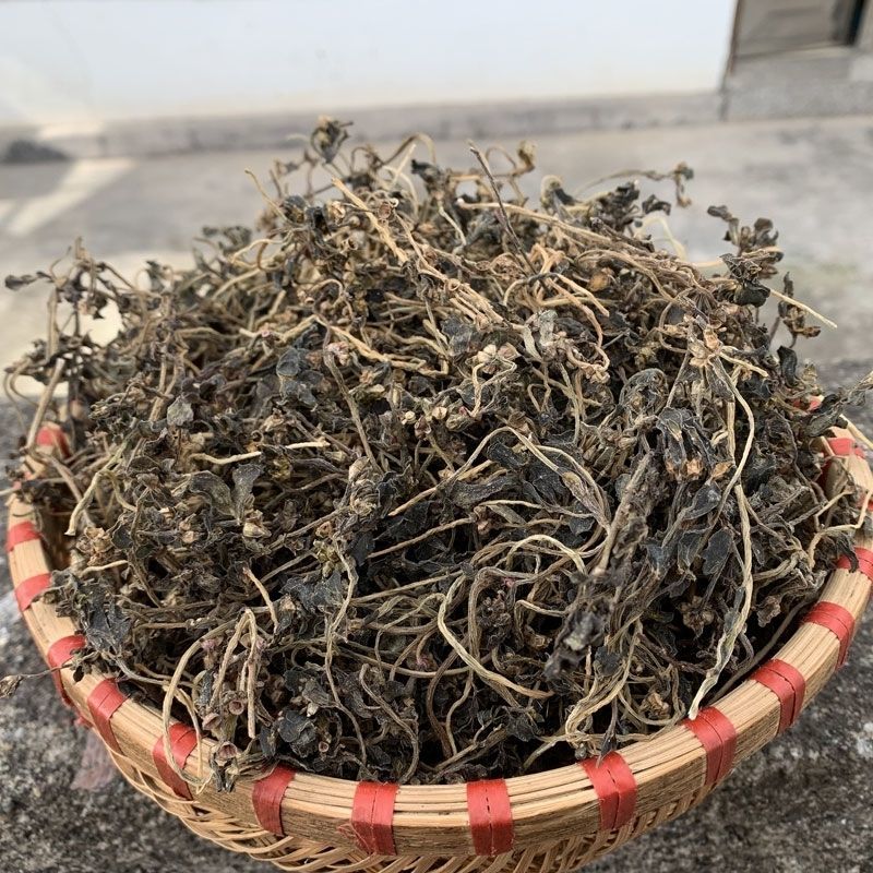 食用干中药材马齿苋菜新鲜泡水野生马齿笕干马齿苋