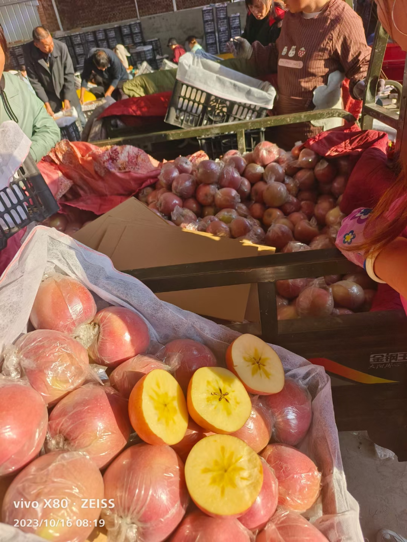 苹果山西膜袋苹果大量上市产地直发品质保障量大优惠