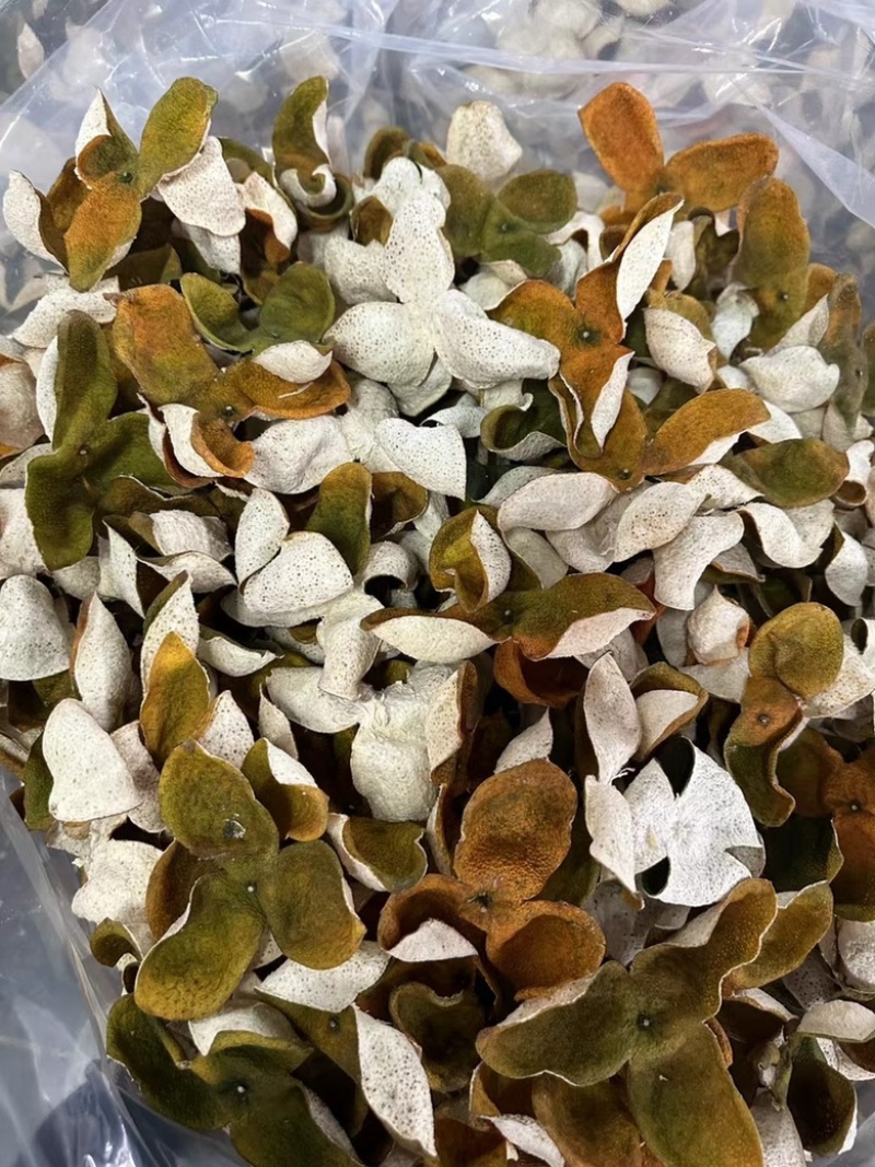江门陈皮
