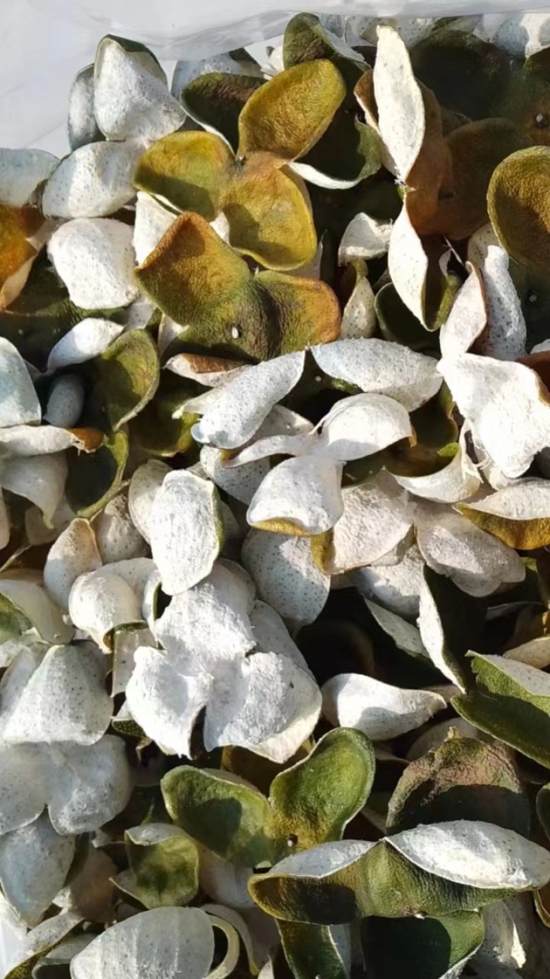 江门陈皮