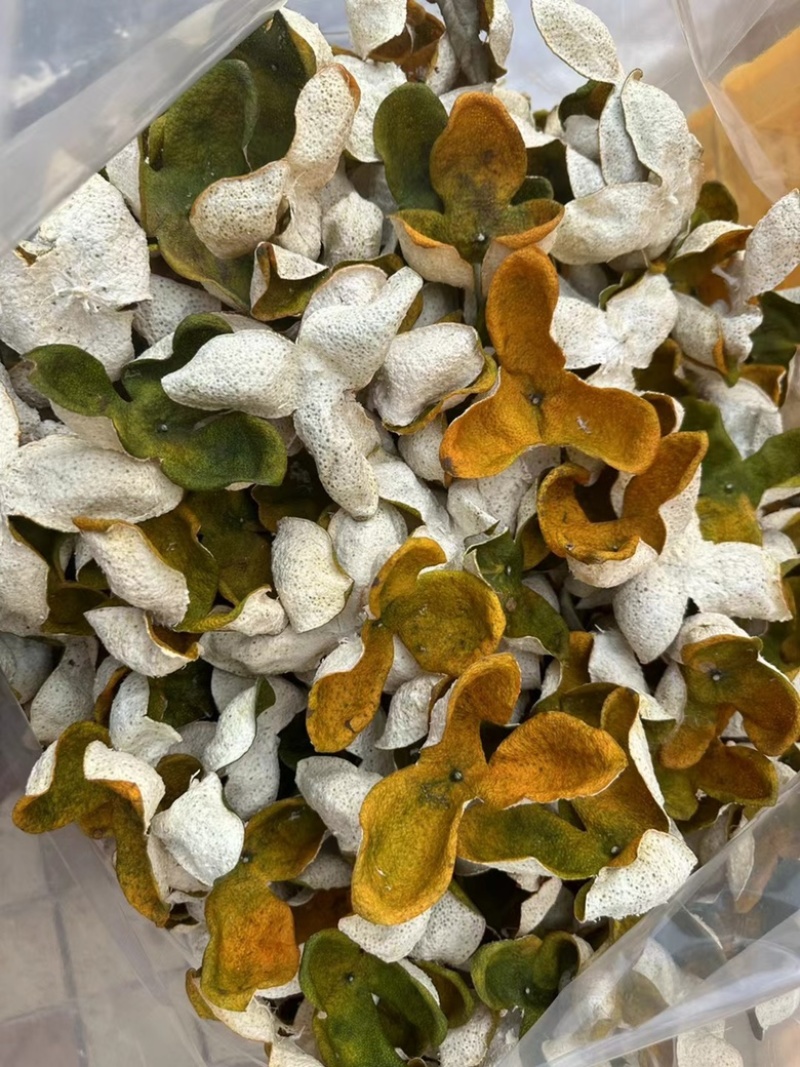 江门陈皮