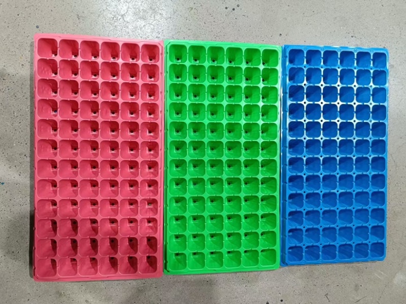 育苗穴盘