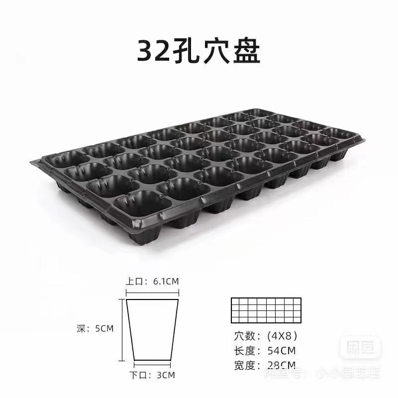 育苗穴盘