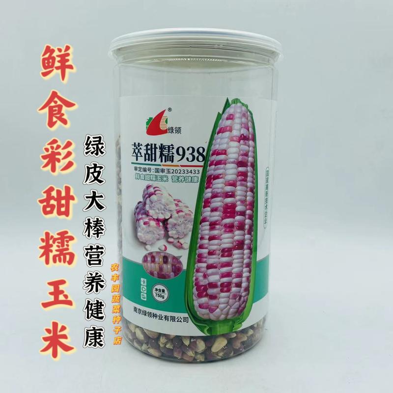 绿领萃甜糯938玉米种子绿皮大棒彩甜糯玉米种子营养健康