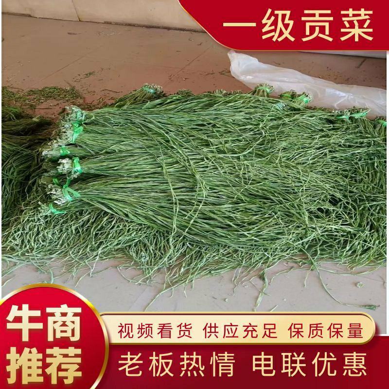 一级贡菜干加工基地直发一手货源批发品质保证价格美丽