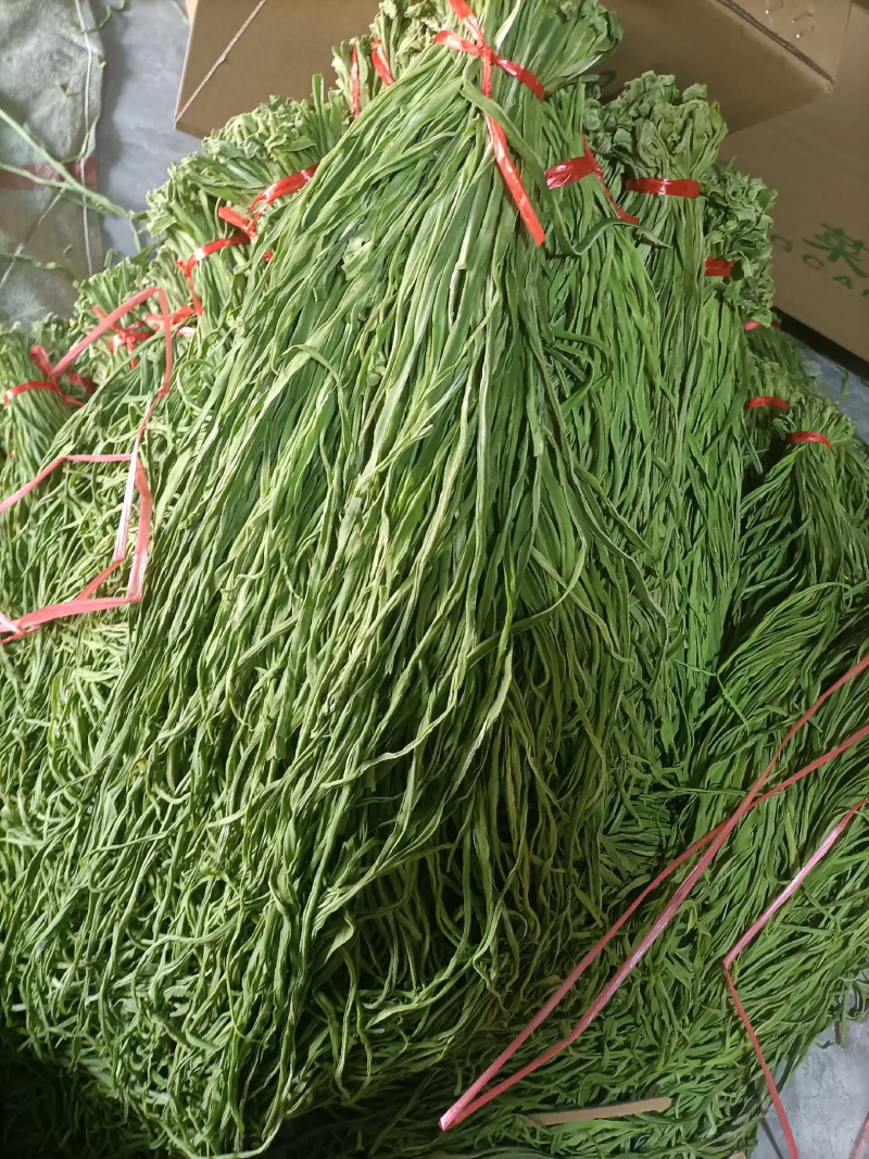 一级贡菜干加工基地直发一手货源批发品质保证价格美丽