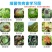 细盾春雷溴菌腈黄瓜细菌性角斑病中药材软腐病果树穿孔病农药