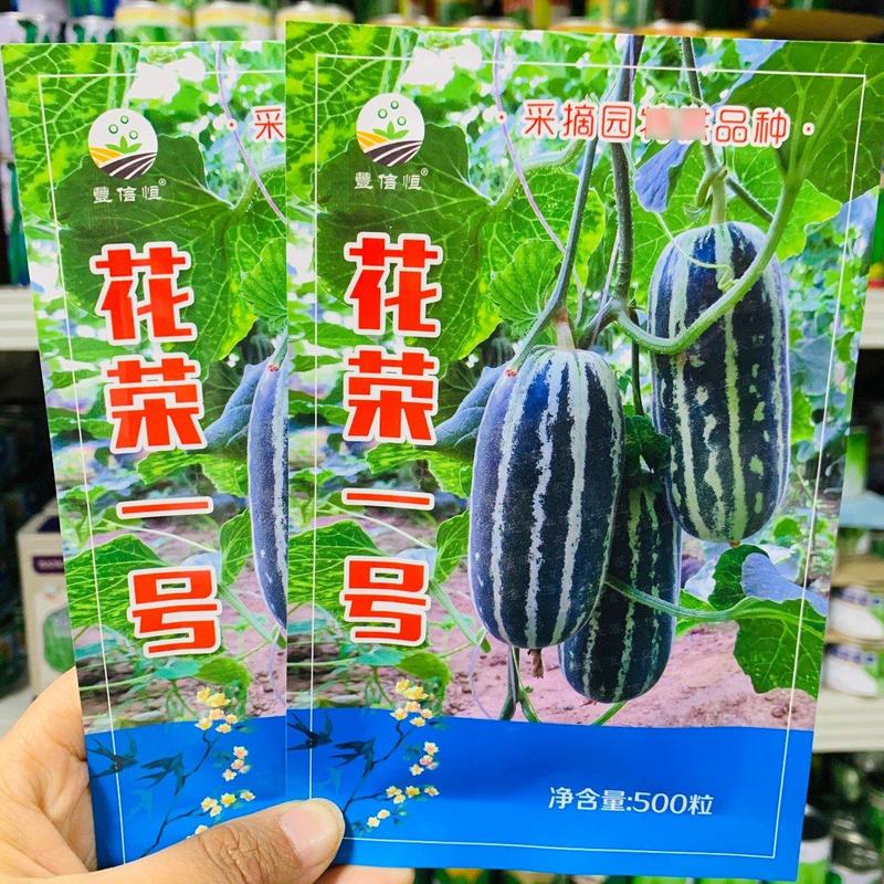 花荣一号甜瓜种子特甜采摘园甜瓜基地专用银白花条长桶型甜瓜