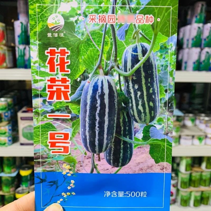 花荣一号甜瓜种子特甜采摘园甜瓜基地专用银白花条长桶型甜瓜