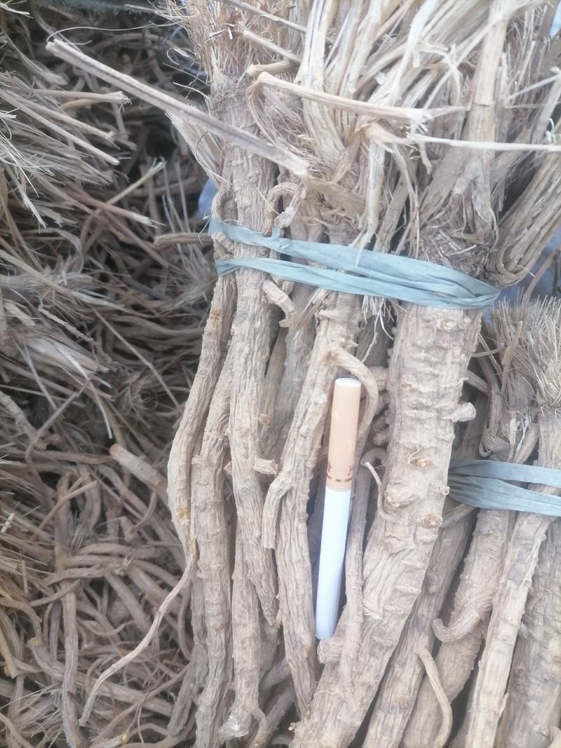 防风防风个子防风片