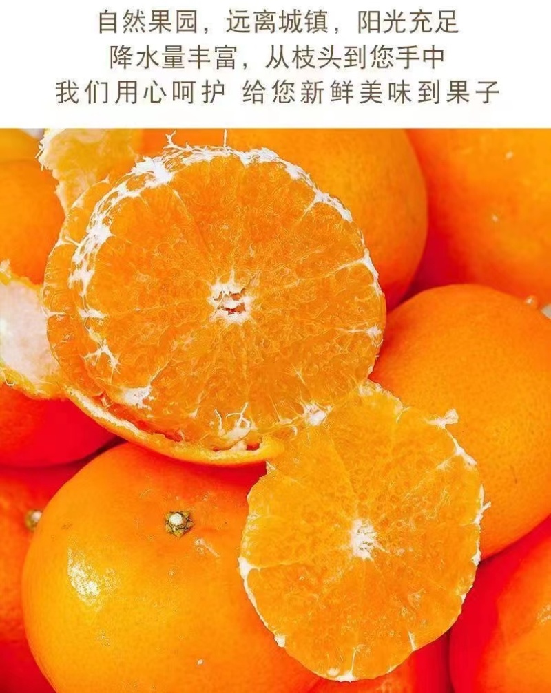 精品沃柑皮薄多汁一件代发供应电商商超货源充足欢迎下单