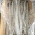 带鱼，小包装，市场批发，拖网船冻，食品加工用