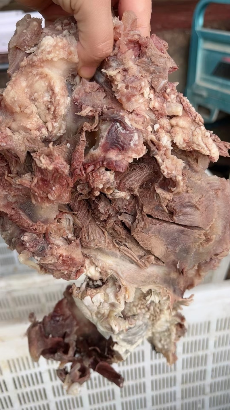 【推荐】山东滨州自营火烧毛熟牛头肉，价格真实，味美质优
