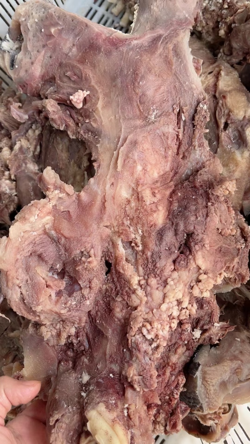 【推荐】山东滨州自营火烧毛熟牛头肉，价格真实，味美质优