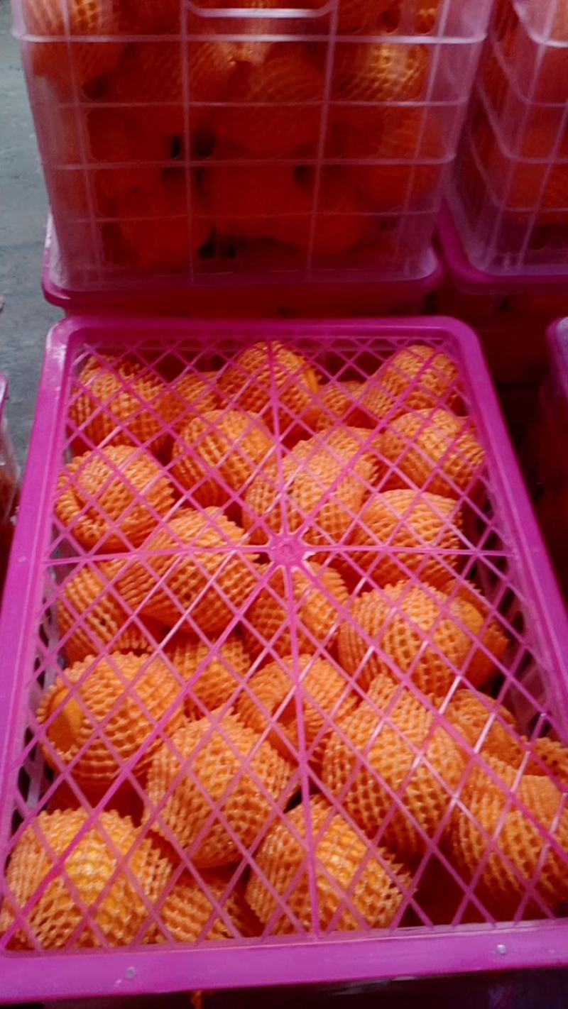 湖北橙子九月红果冻橙纽荷尔橙长虹大量上市果园看货以质论价