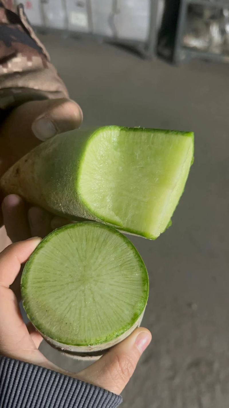 青岛水果萝卜，电商，加工厂，可视频看货