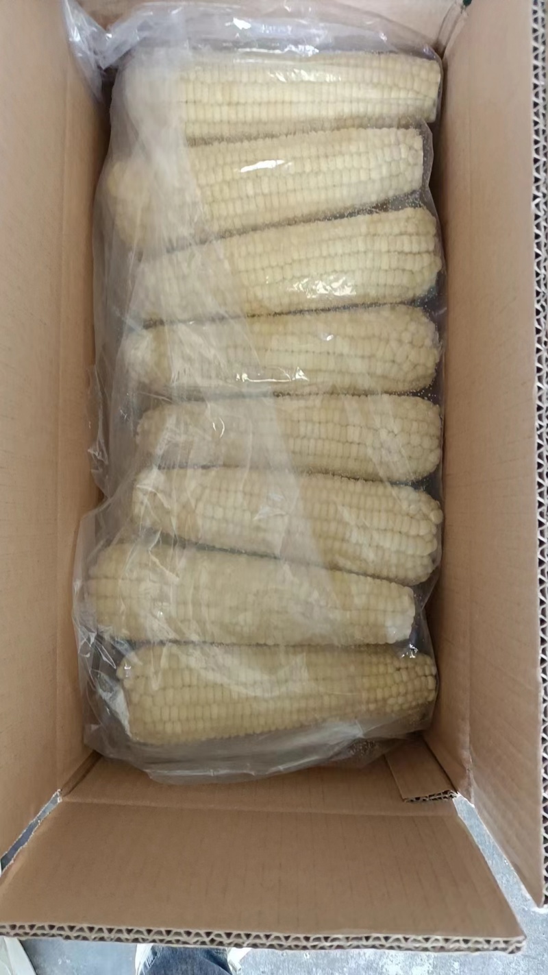 速冻甜糯玉米大量有货，保质保量供应，欢迎来电洽谈
