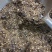 贵州辣椒柴火糊辣椒面手工制作椒香糊辣蘸水