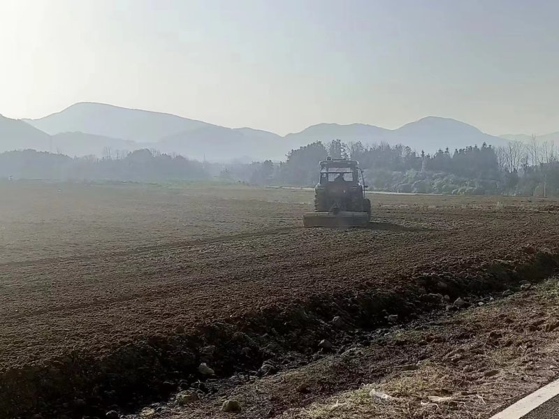 稻田2000亩，耕地400亩种植冬瓜蔬菜的客商前来洽谈