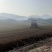 稻田2000亩，耕地400亩种植冬瓜蔬菜的客商前来洽谈